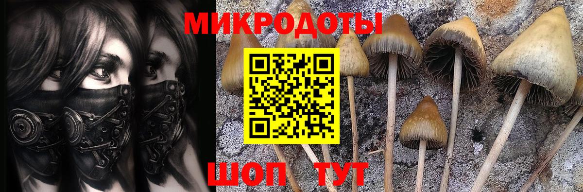 Галлюциногенные грибы Magic Shrooms  Вход с VPN  Нововоронеж 