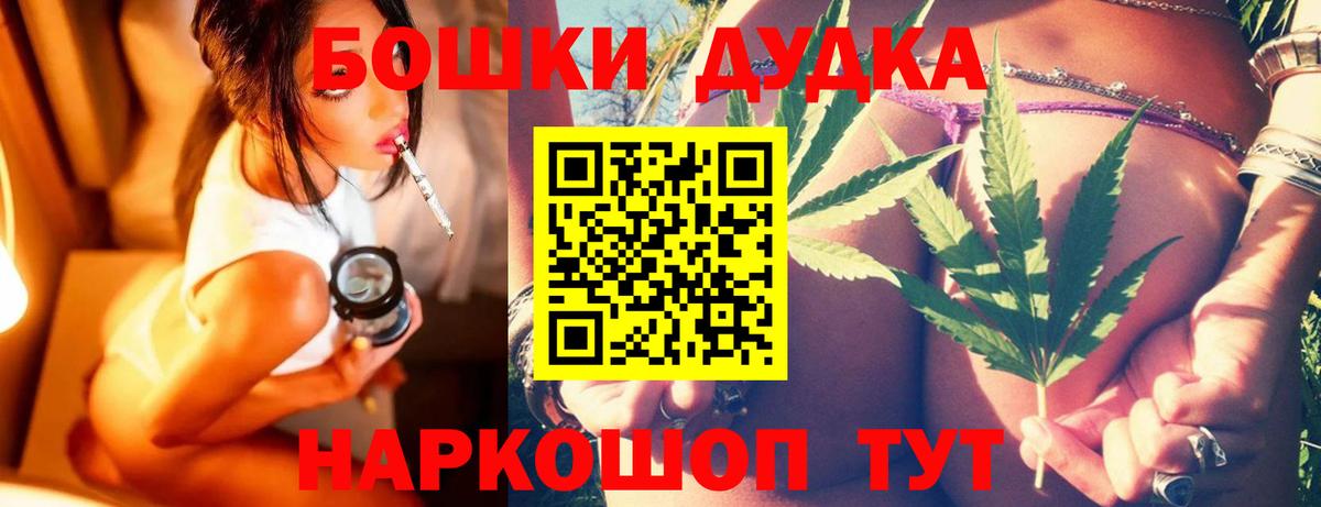 Нововоронеж  МАРИХУАНА план  МАРИХУАНА семена  Вход с VPN 